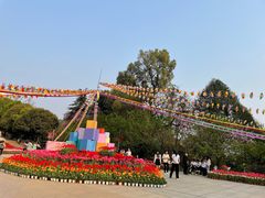 -南山植物园
