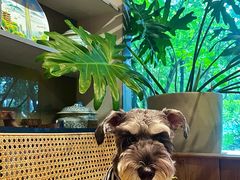 -谷咖啡·鲜花绿植花园餐厅