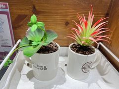 -劳顶笨咖啡(益华广场店)