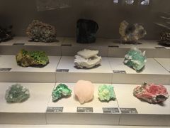 -河南自然博物馆