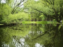 -上海共青森林公园