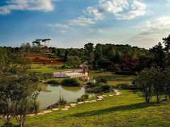 -铁山坪森林公园