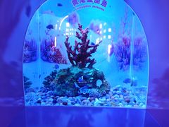 -秦皇岛新澳海底世界