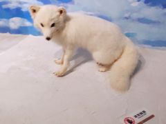 -陕西自然博物馆