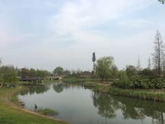 -尚贤河湿地