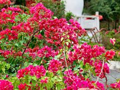 -东莞观音山旅游风景区