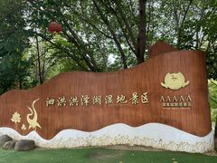 -泗洪洪泽湖湿地景区
