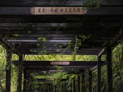 -九龙潭景区