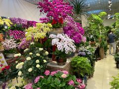 -双季花艺园艺市场(浦东店)