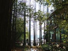 -东湖生态旅游风景区