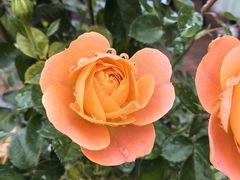 -小洞天柴火土菜馆