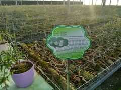 -嬉乐湾休闲旅游区