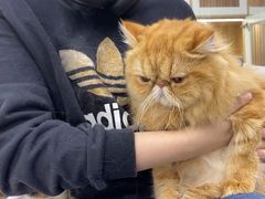 -爱洗澡的猫(天河路店)