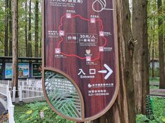 -东平国家森林公园