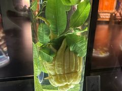 -广东中医药博物馆