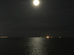 -演武大桥观景平台