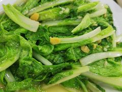 豆瓣酱炒白菜-长平肥姐白粥·海鲜打冷