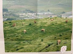 -阿苏山