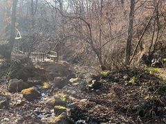 -天女山森林公园