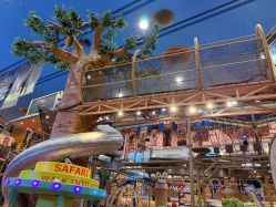 -卡通尼·Safari非洲探索乐园·生日会(金桥国际商业广场店)