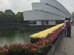-上海鲜花港