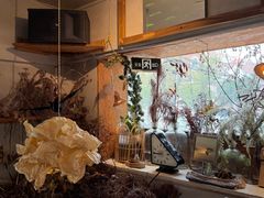 -野草莓自由市场