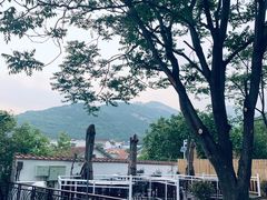 -蘇河湾·新鲁菜·泰山宴(泰山店)