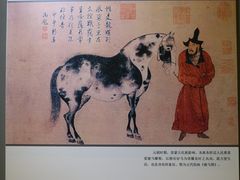 -呼和浩特博物馆