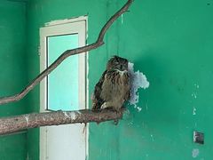 -西霞口神雕山野生动物世界