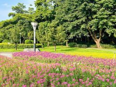 -文华公园(禅城区)