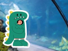 -太平洋海底世界