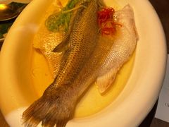 香港酒楼古法芥辣蒸鲈鱼-来龙里 精致 东南亚餐室(万象城店)