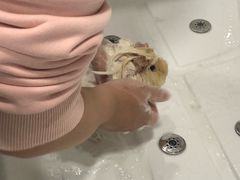-藦茜花园宠物主题亲子互动体验馆(国顺东路店)