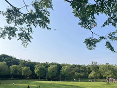 -牛岗山公园