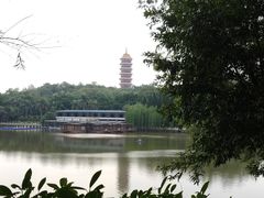 -三水森林公园