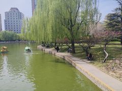 -团结湖公园