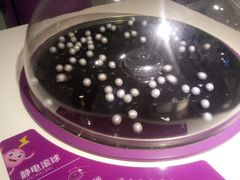 -陕西科学技术馆