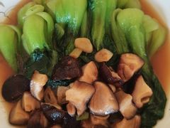 -天鹅到家·保姆月嫂育儿嫂(朝阳店)