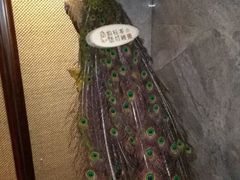 -山水温泉
