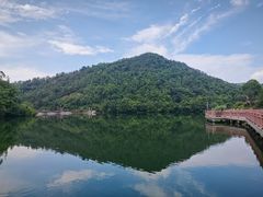 -桃花岭景区