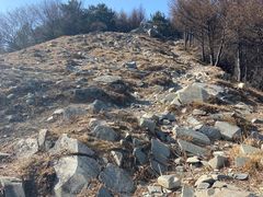 -阳台山自然风景区