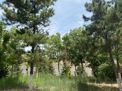 -南城墙永泰门广场