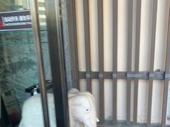 -珠海棕泉水疗酒店(拱北口岸高铁站店)