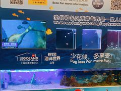 -上海乐高探索中心