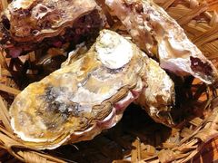 高压锅竹笼蒸蚝-蚝堡海鲜·威海菜·海肠捞饭·烧烤·亚洲吃蚝公司(幸福门店)