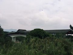 -福建鲤鱼洲酒店