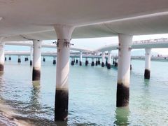 -演武大桥观景平台