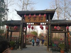 -合肥滨湖国家森林公园