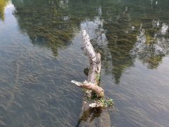 -贵阳市花溪国家城市湿地公园