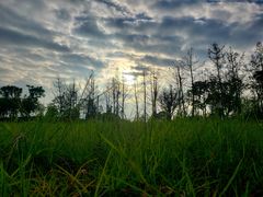 -白鹭湾湿地公园